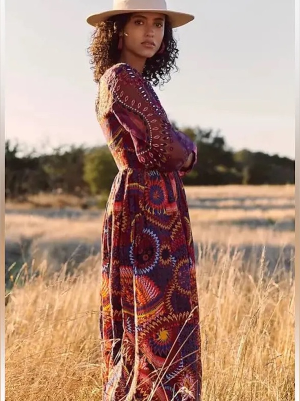 Anthropologie Maren Embroidered Maxi Dress Boho Print